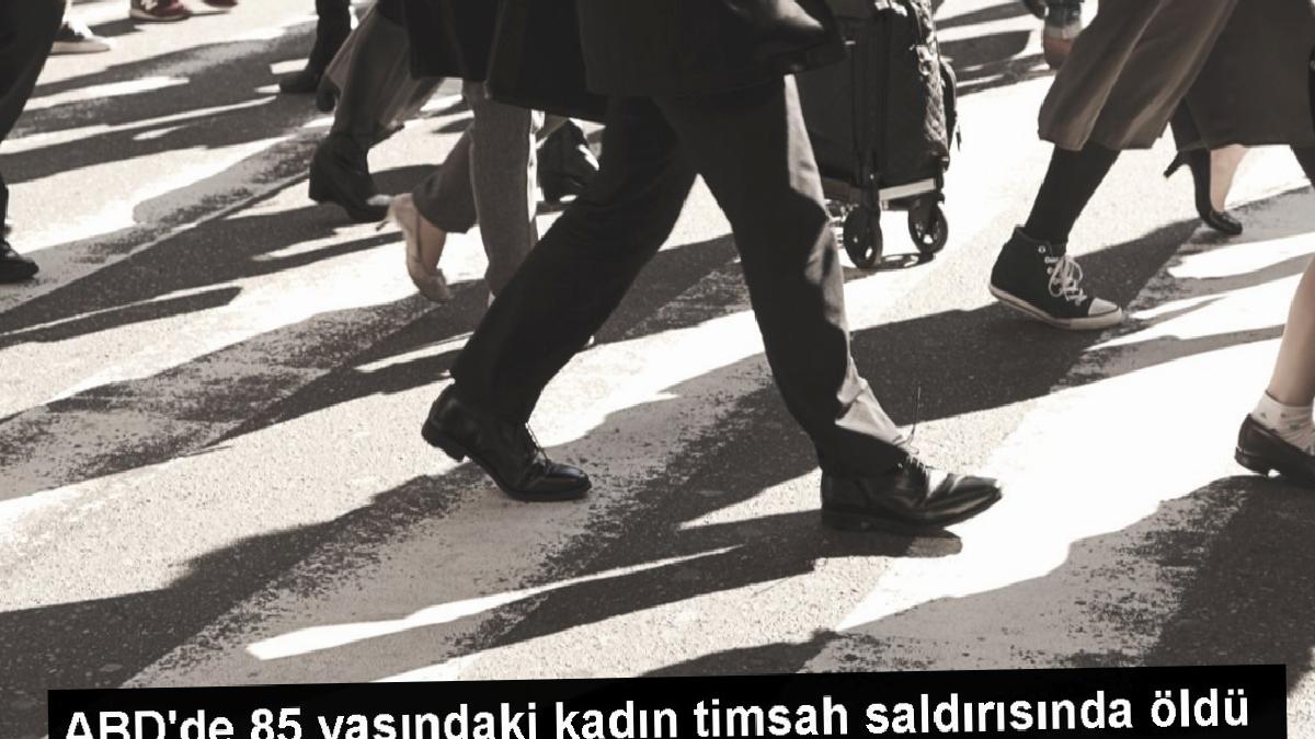 ABD’de 85 yaşındaki kadın timsah saldırısında öldü