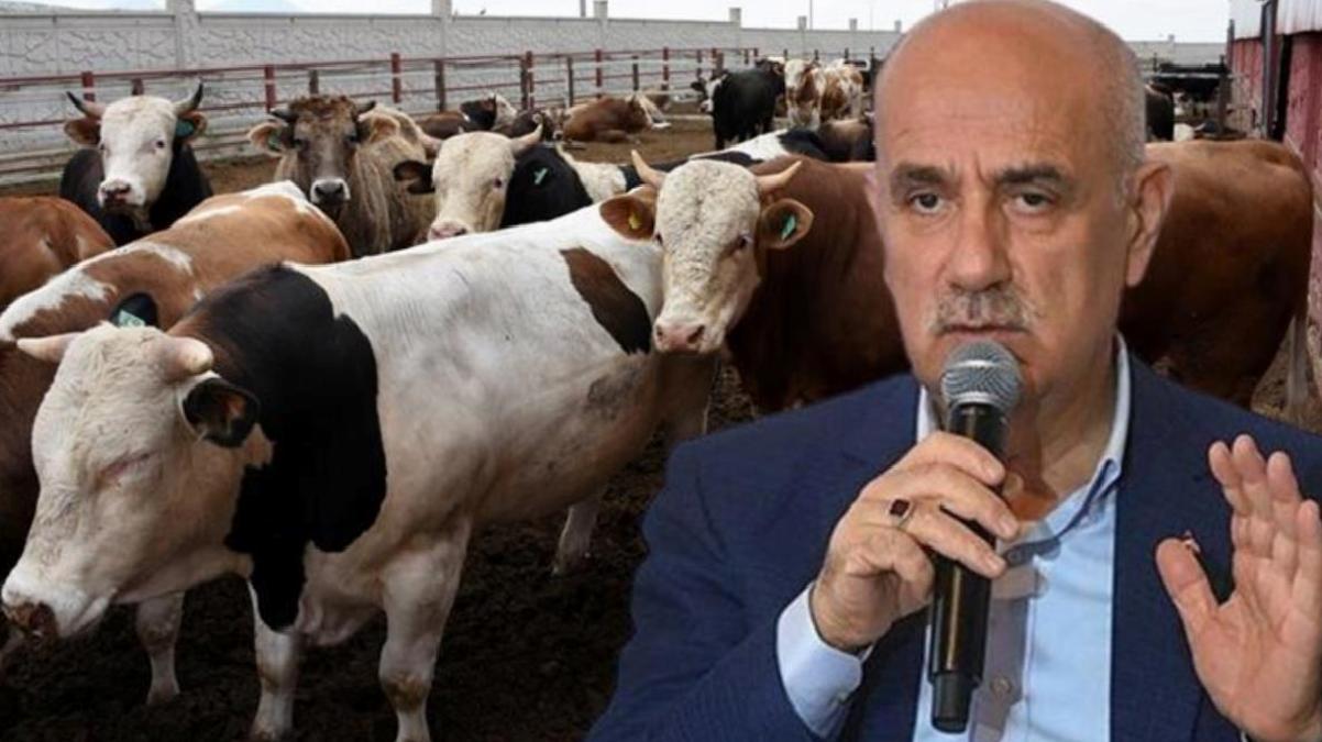 Bakan Kirişçi’den Şap hastalığı uyarısı: Büyükbaş hayvanların tamamını aşılamamız gerekiyor