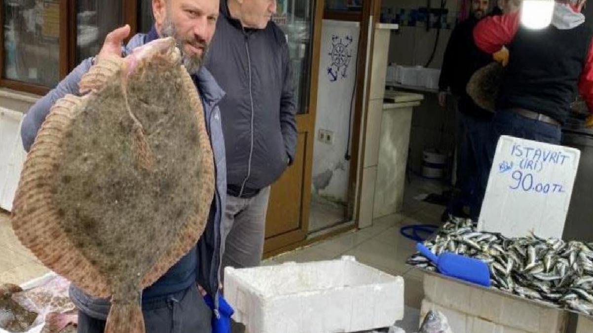 Karadeniz’de avlanan yaklaşık 9 kiloluk kalkan balığı 5 bin liraya satıldı