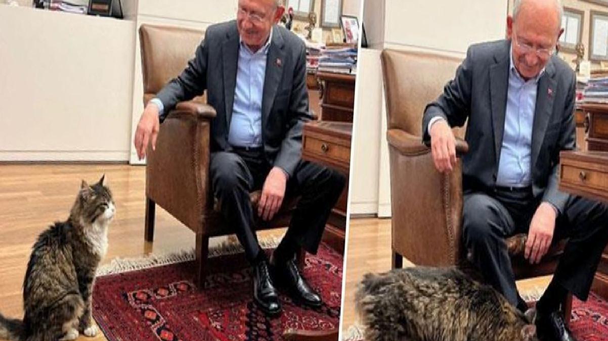 Kılıçdaroğlu Şero’ya söz verdi: İktidara gelince yaş mamayı lüks olmaktan çıkaracağım