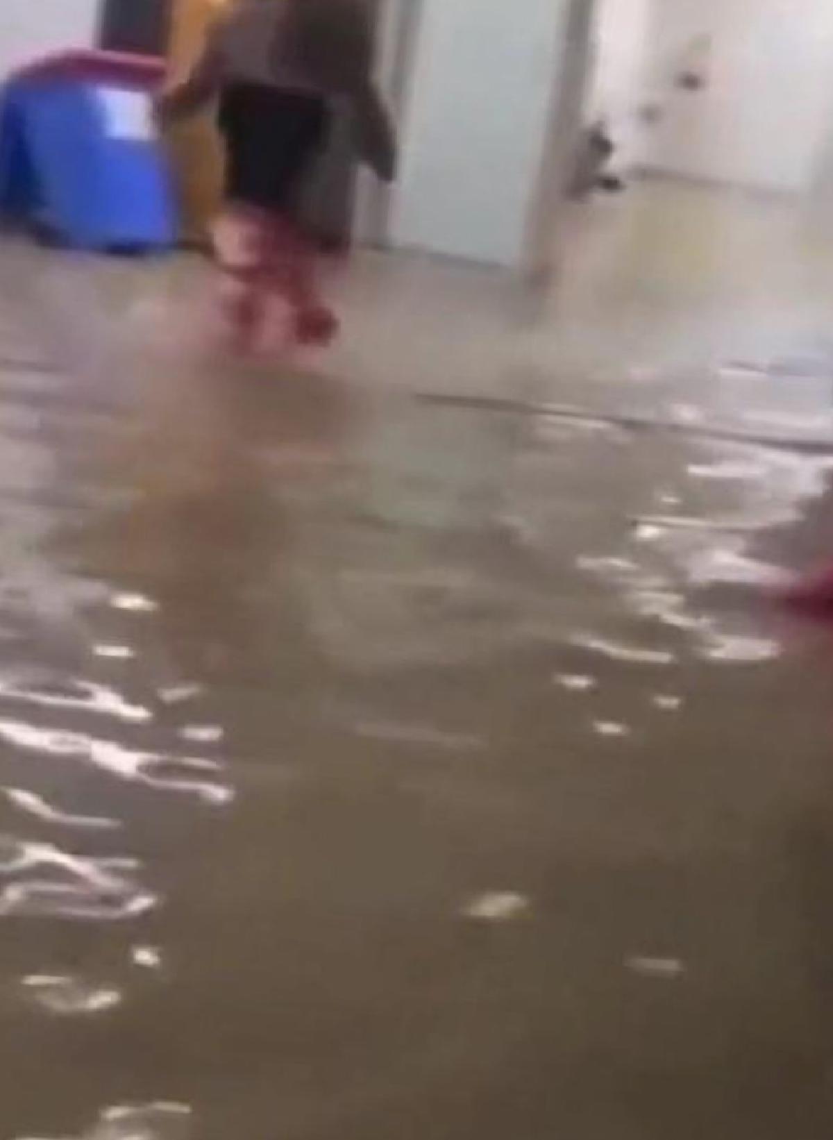 Şanlıurfa’da şiddetli yağış nedeniyle Eyyübiye Devlet Hastanesi’ni su bastı
