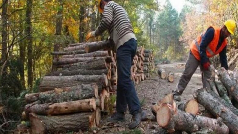  Süreksiz emekçi Meclis tatile girmeden takım hakkı istiyor