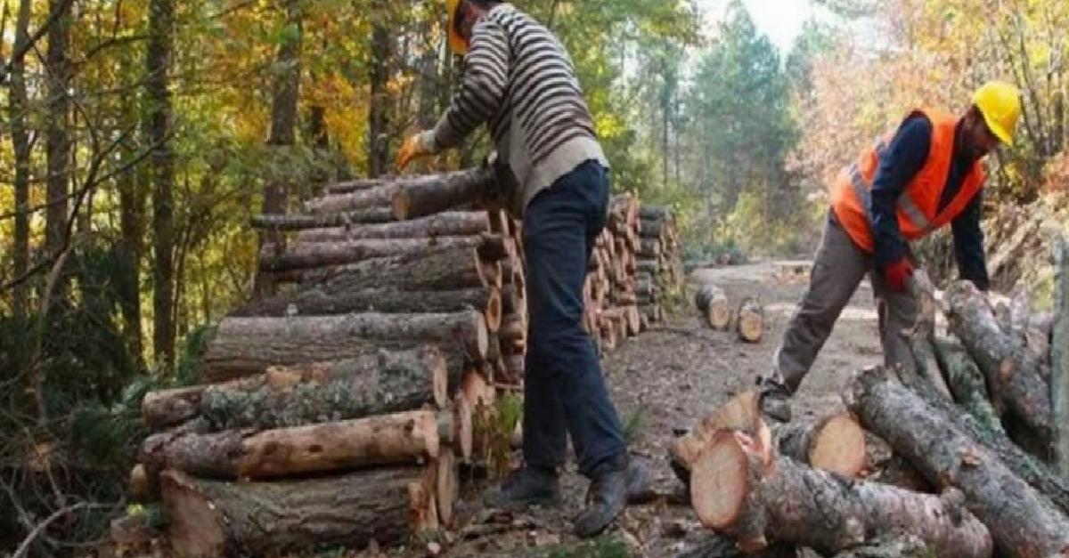 Süreksiz emekçi Meclis tatile girmeden takım hakkı istiyor