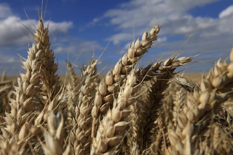 Tahıl Koridoru Anlaşması uzatıldı