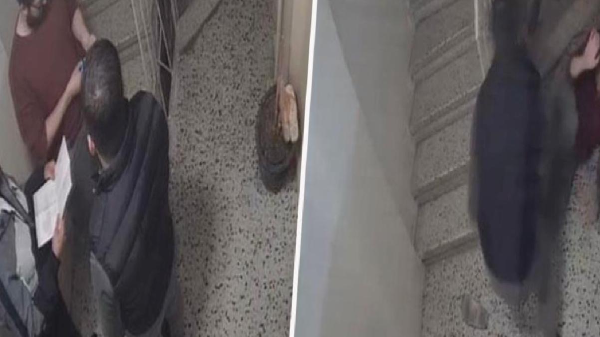 Ev sahibinin kardeşinden kiracıya ‘evden çık’ dayağı! Şalteri indirip böyle pusu kurdular