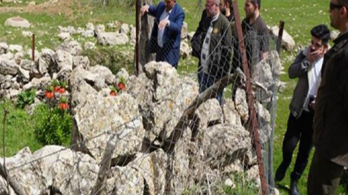 Köylüler, yılın sadece 20 günü açan ters lalelerin başında nöbet tutuyor! Koparmanın cezası 244 bin lira