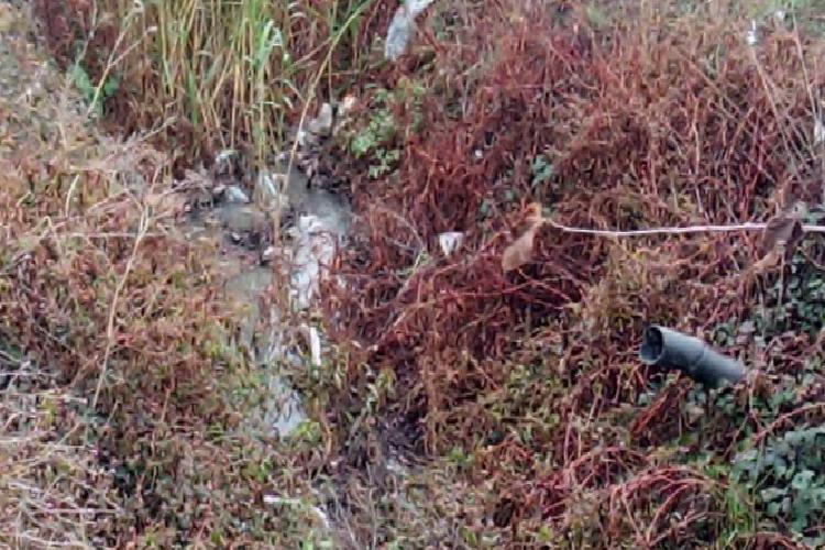 Bu rezalete kim dur diyecek?