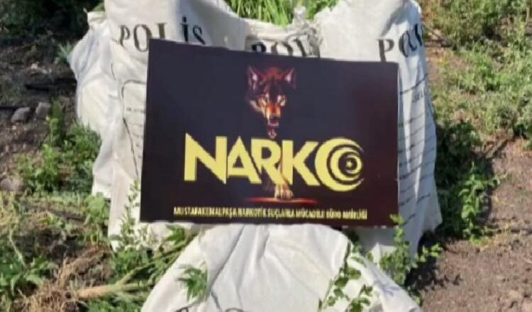  Bursa NARKO’dan şafak operasyonu: 135 gözaltı