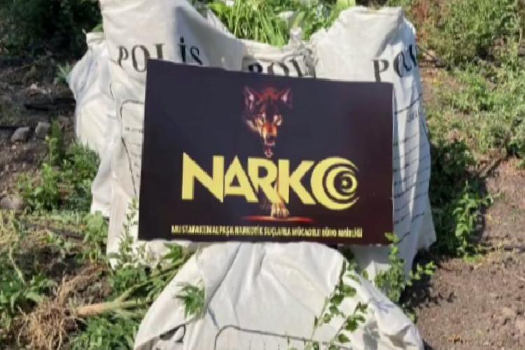 Bursa NARKO’dan şafak operasyonu: 135 gözaltı