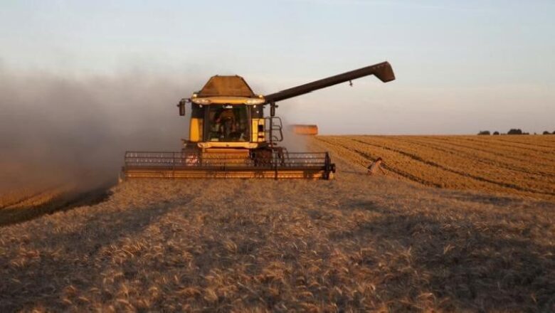  ABD’li buğday çiftçileri tahıl bolluğunun fiyatları baskılamasıyla mücadele ediyor